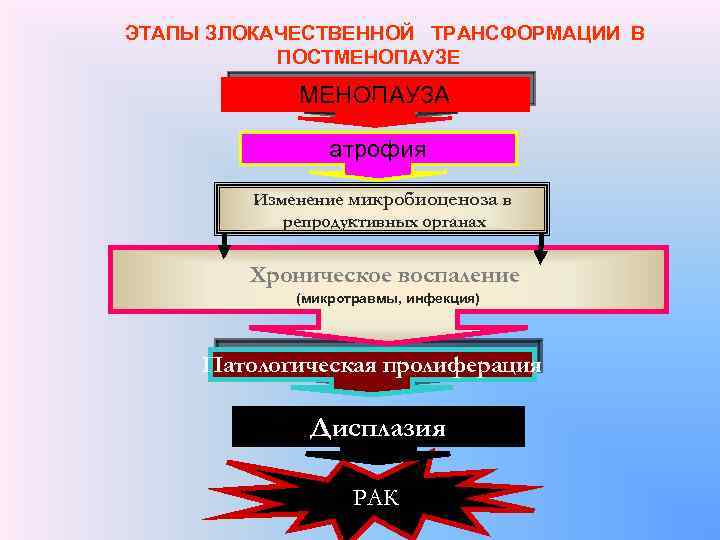  ЭТАПЫ ЗЛОКАЧЕСТВЕННОЙ ТРАНСФОРМАЦИИ В ПОСТМЕНОПАУЗЕ МЕНОПАУЗА атрофия Изменение микробиоценоза в репродуктивных органах Хроническое