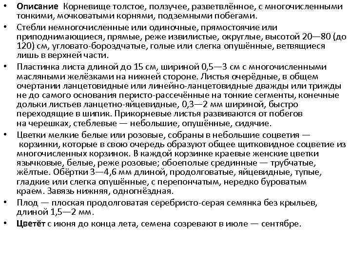  • Описание Корневище толстое, ползучее, разветвлённое, с многочисленными тонкими, мочковатыми корнями, подземными побегами.