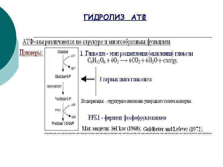 ГИДРОЛИЗ АТФ 