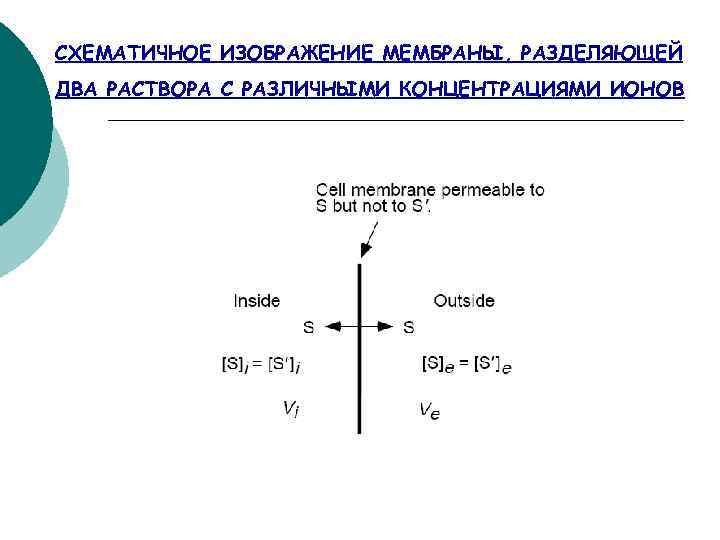 СХЕМАТИЧНОЕ ИЗОБРАЖЕНИЕ МЕМБРАНЫ, РАЗДЕЛЯЮЩЕЙ ДВА РАСТВОРА С РАЗЛИЧНЫМИ КОНЦЕНТРАЦИЯМИ ИОНОВ 