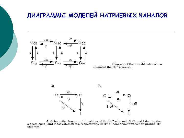 ДИАГРАММЫ МОДЕЛЕЙ НАТРИЕВЫХ КАНАЛОВ 