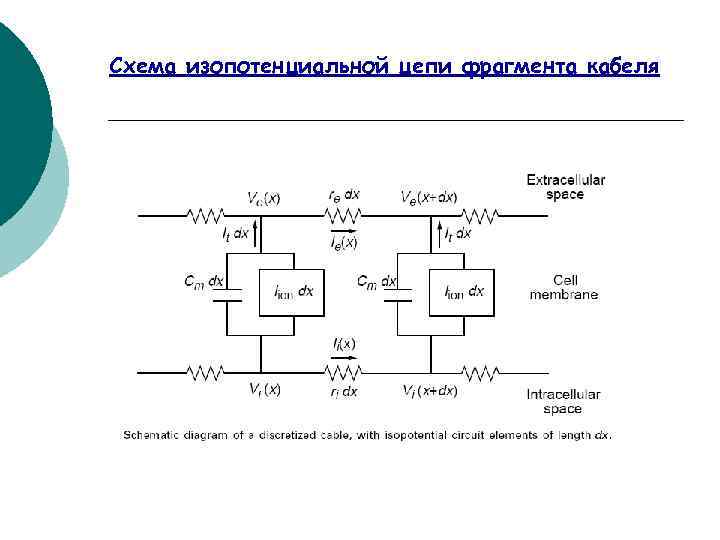 Схема изопотенциальной цепи фрагмента кабеля 