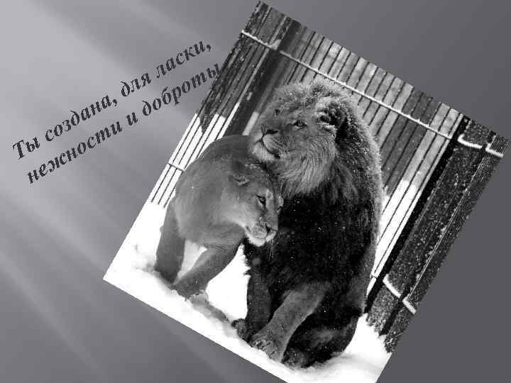 и, ск ла ты ля ро , д об на и д да и