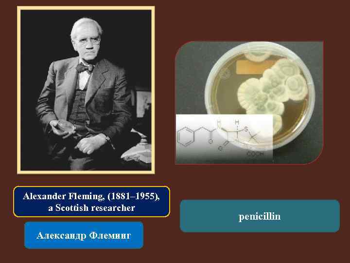 Alexander Fleming, (1881– 1955), a Scottish researcher Александр Флеминг penicillin 