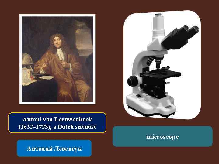 Antoni van Leeuwenhoek (1632– 1723), a Dutch scientist microscope Антоний Левенгук 