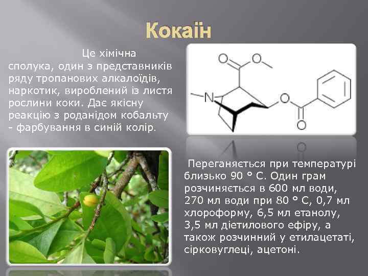 Кокаїн Це хімічна сполука, один з представників ряду тропанових алкалоїдів, наркотик, вироблений із листя