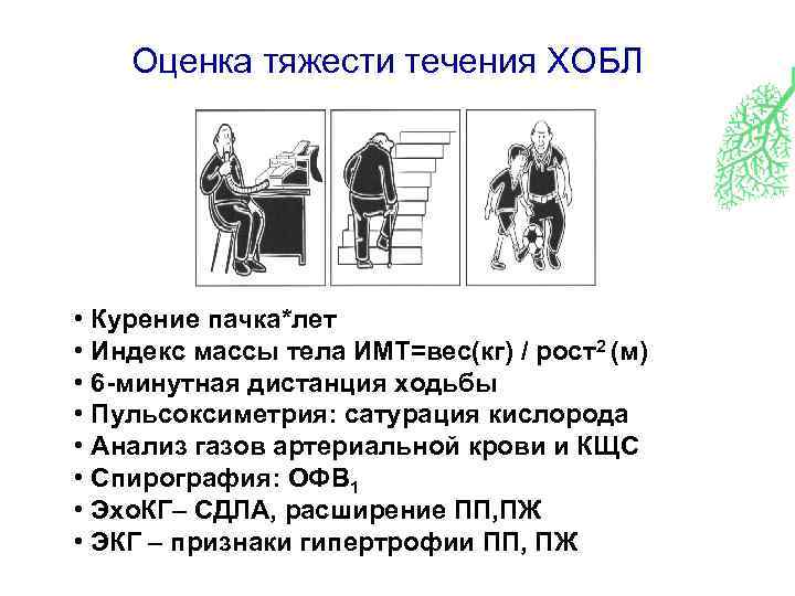 Оценка тяжести течения ХОБЛ • Курение пачка*лет • Индекс массы тела ИМТ=вес(кг) / рост2