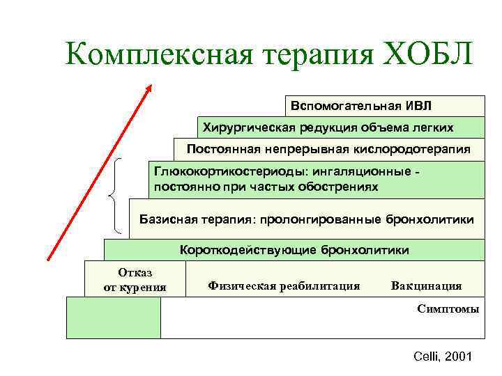 Комплексная терапия ХОБЛ Вспомогательная ИВЛ Хирургическая редукция объема легких Постоянная непрерывная кислородотерапия Глюкокортикостериоды: ингаляционные