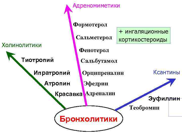 Адреномиметики Формотерол Сальметерол Холинолитики + ингаляционные кортикостероиды Фенотерол Тиотропий Сальбутамол Ипратропий Атропин Орципреналин Ксантины