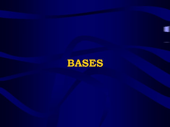 BASES 