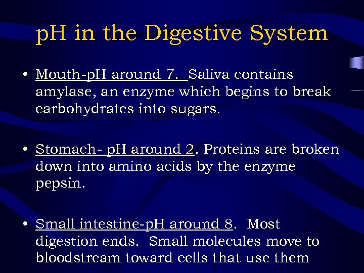 p. H in the Digestive System • Mouth-p. H around 7. Saliva contains amylase,