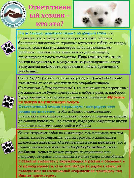 Ответственн ый хозяин – кто это? Он не заводит животное только на дачный сезон,
