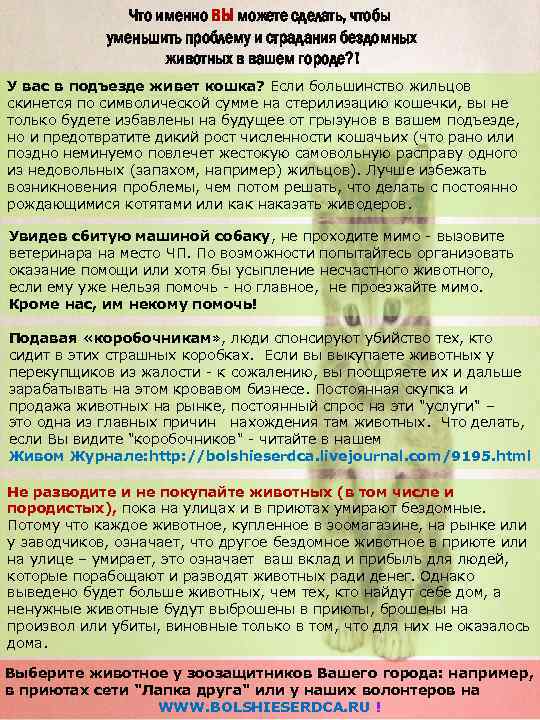 Что именно ВЫ можете сделать, чтобы уменьшить проблему и страдания бездомных животных в вашем