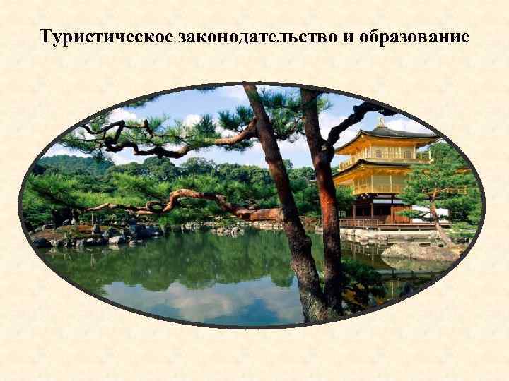 Туристическое законодательство и образование 