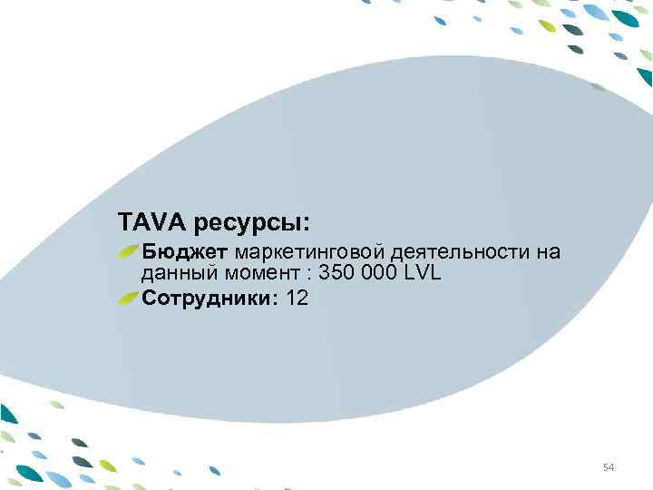 PPT template TAVA ресурсы: Бюджет маркетинговой деятельности на данный момент : 350 000 LVL