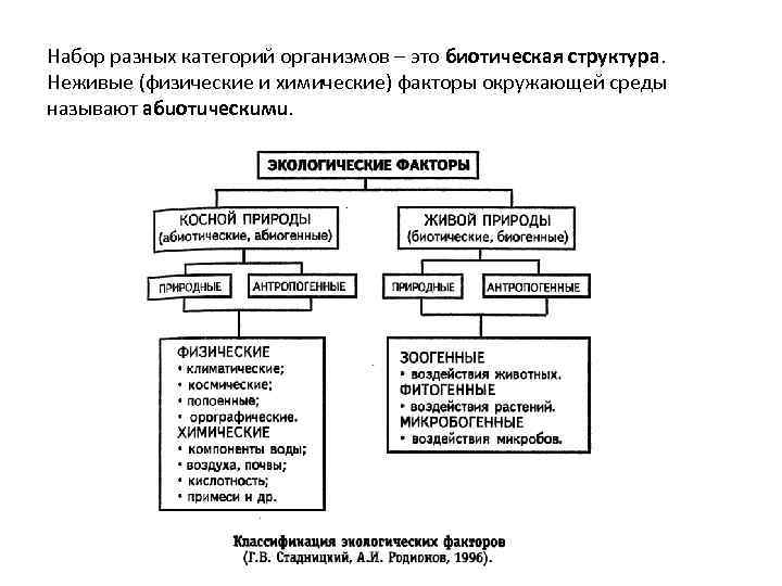 Набор разных категорий организмов – это биотическая структура. Неживые (физические и химические) факторы окружающей