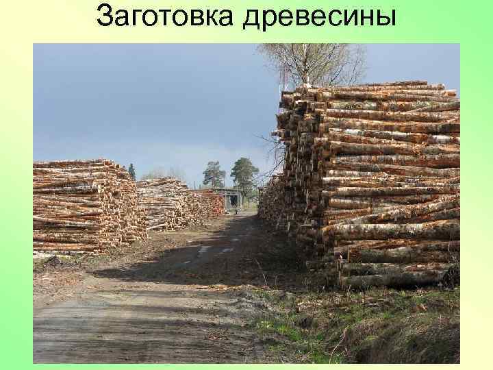 Заготовка древесины 