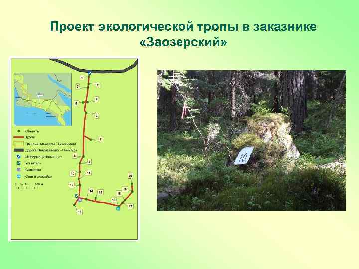 Проект экологической тропы в заказнике «Заозерский» 