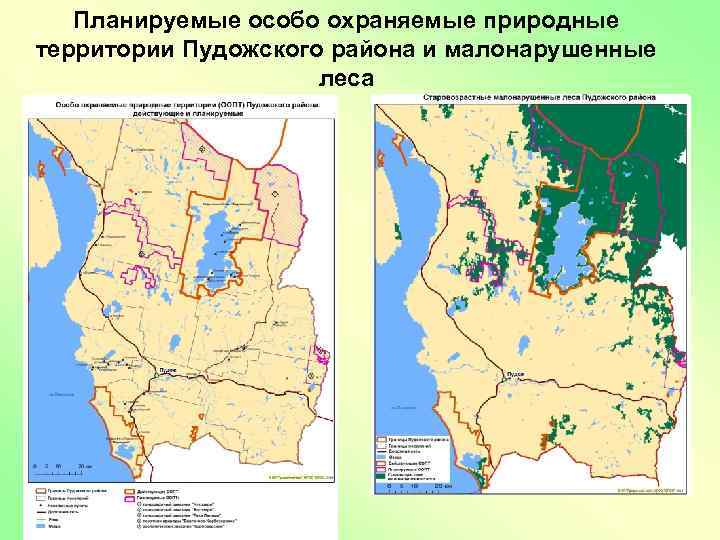 Планируемые особо охраняемые природные территории Пудожского района и малонарушенные леса 