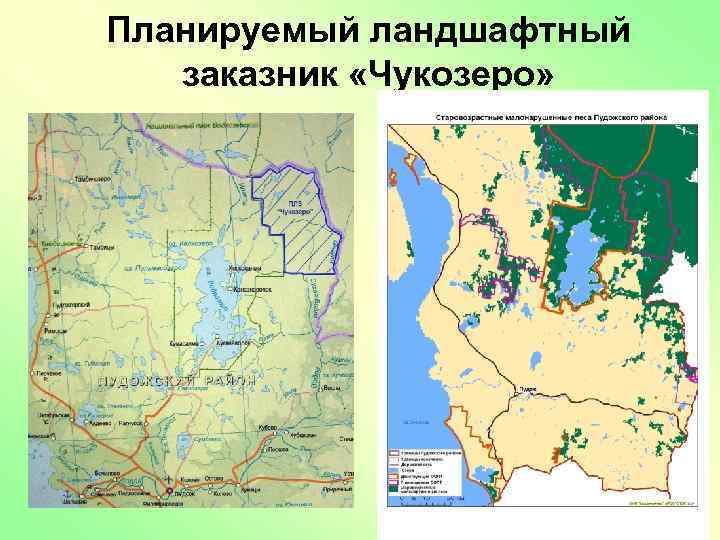 Планируемый ландшафтный заказник «Чукозеро» 