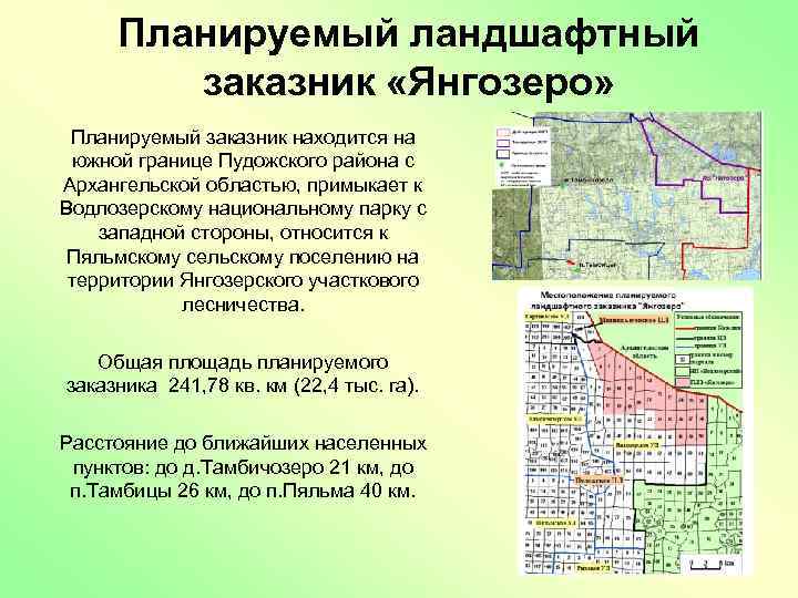 Планируемый ландшафтный заказник «Янгозеро» Планируемый заказник находится на южной границе Пудожского района с Архангельской