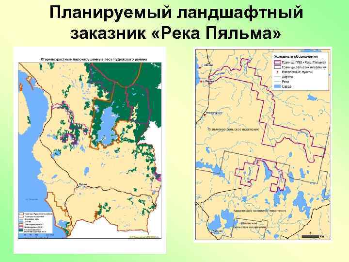 Планируемый ландшафтный заказник «Река Пяльма» 