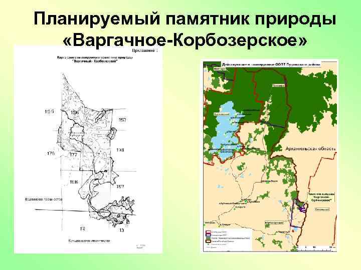 Планируемый памятник природы «Варгачное-Корбозерское» 