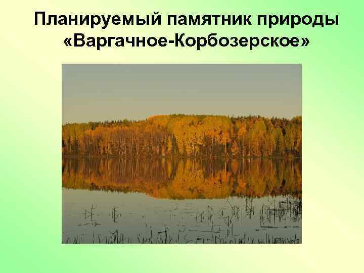 Планируемый памятник природы «Варгачное-Корбозерское» 