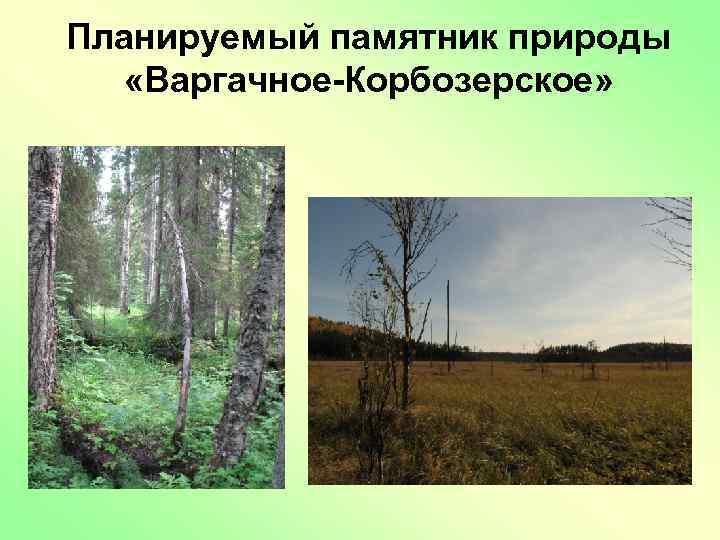 Планируемый памятник природы «Варгачное-Корбозерское» 