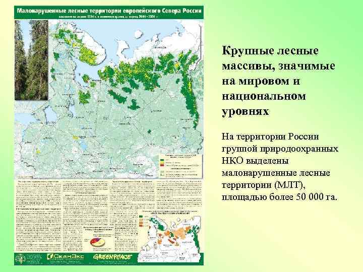 Крупные лесные массивы, значимые на мировом и национальном уровнях На территории России группой природоохранных