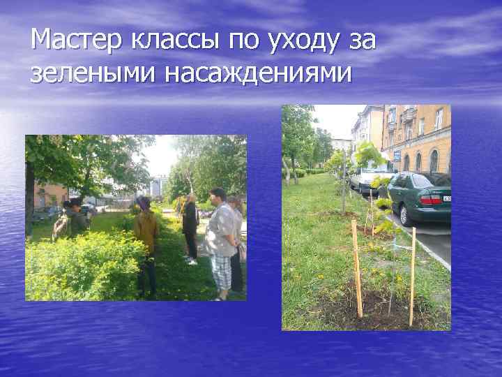 Мастер классы по уходу за зелеными насаждениями 