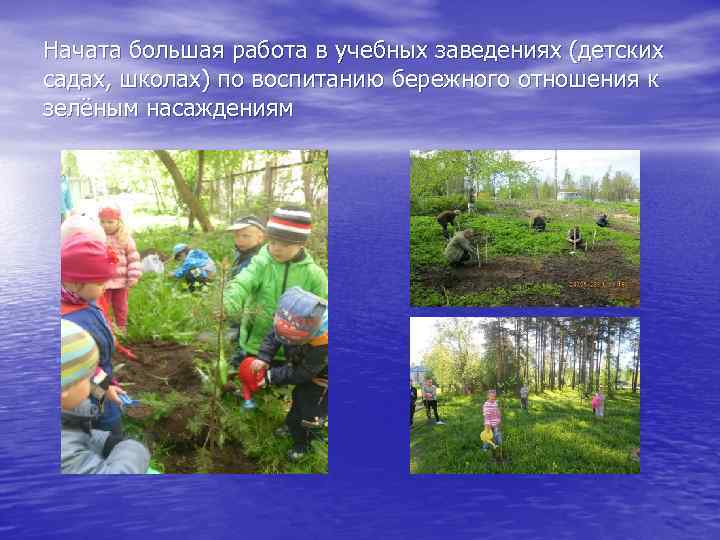 Начата большая работа в учебных заведениях (детских садах, школах) по воспитанию бережного отношения к