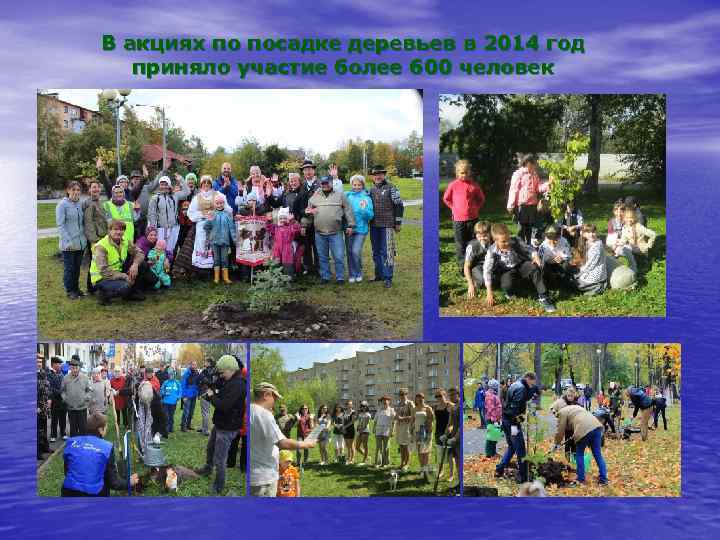В акциях по посадке деревьев в 2014 год приняло участие более 600 человек 