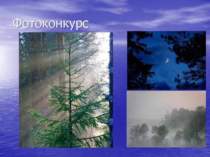Фотоконкурс 