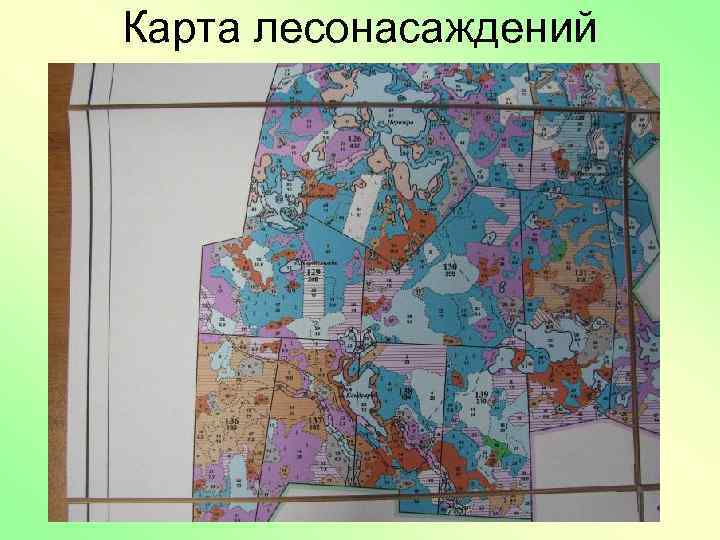 Карта лесонасаждений 