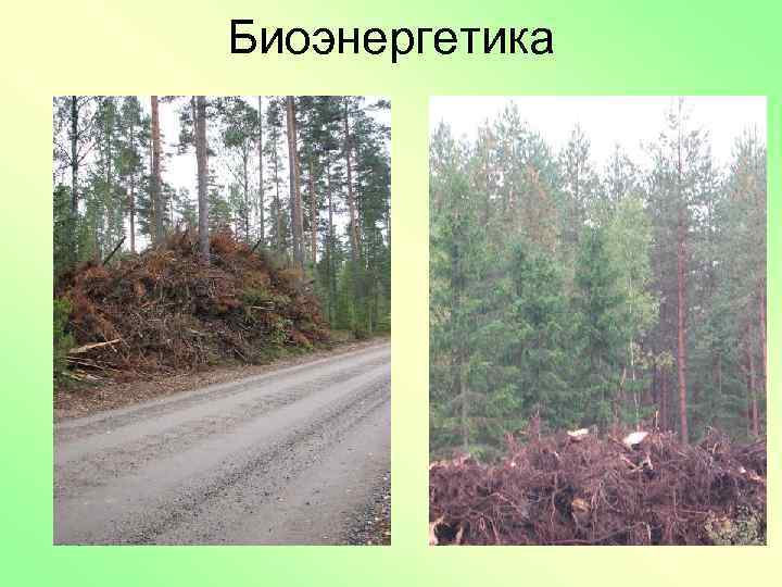 Биоэнергетика 