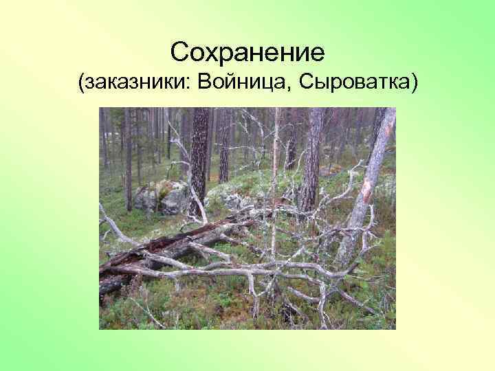 Сохранение (заказники: Войница, Сыроватка) 