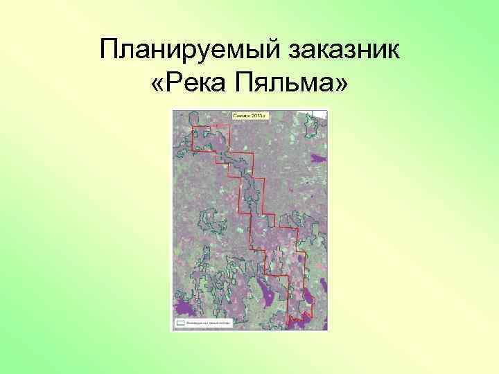 Планируемый заказник «Река Пяльма» 
