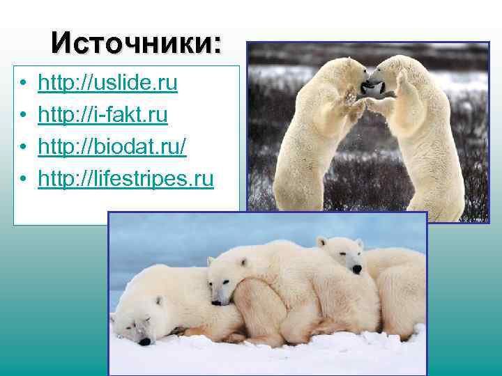 Источники: • • http: //uslide. ru http: //i-fakt. ru http: //biodat. ru/ http: //lifestripes.