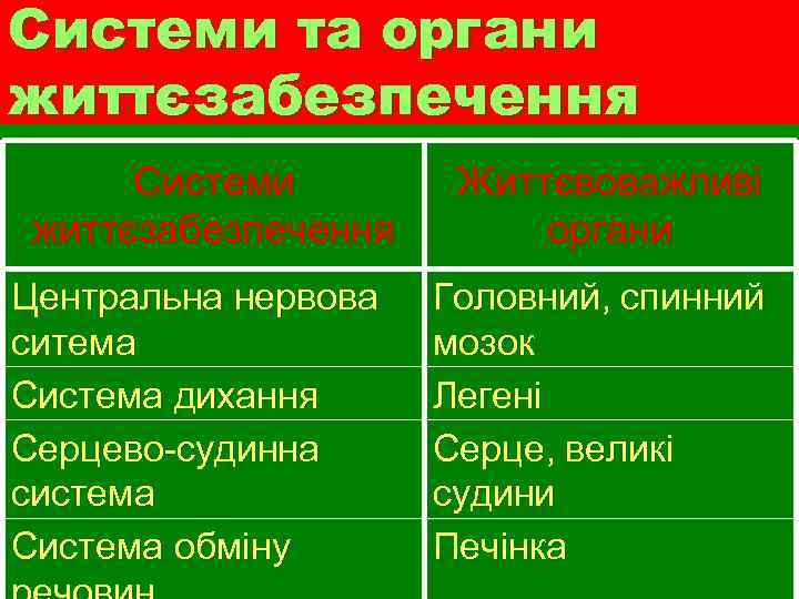 Системи та органи життєзабезпечення Системи життєзабезпечення Центральна нервова ситема Система дихання Серцево-судинна система Система