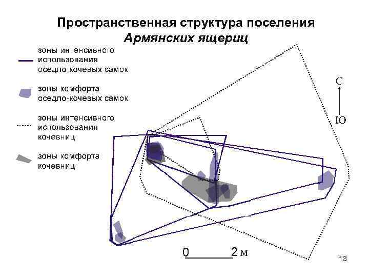 Пространственная структура поселения Армянских ящериц 13 