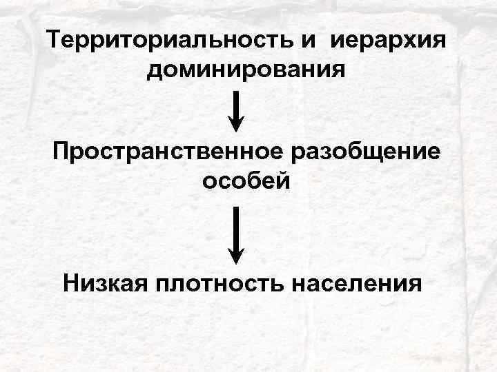 Территориальность и иерархия доминирования Пространственное разобщение особей Низкая плотность населения 18 