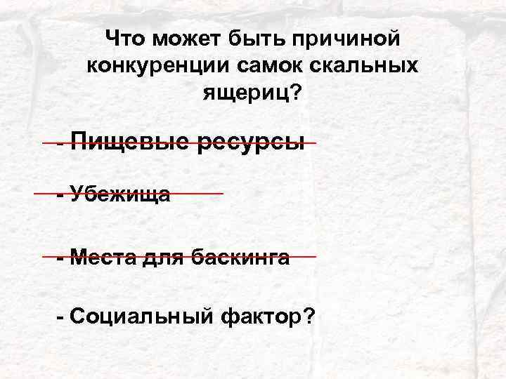 Что может быть причиной конкуренции самок скальных ящериц? - Пищевые ресурсы - Убежища -