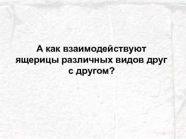 А как взаимодействуют ящерицы различных видов друг с другом? 25 