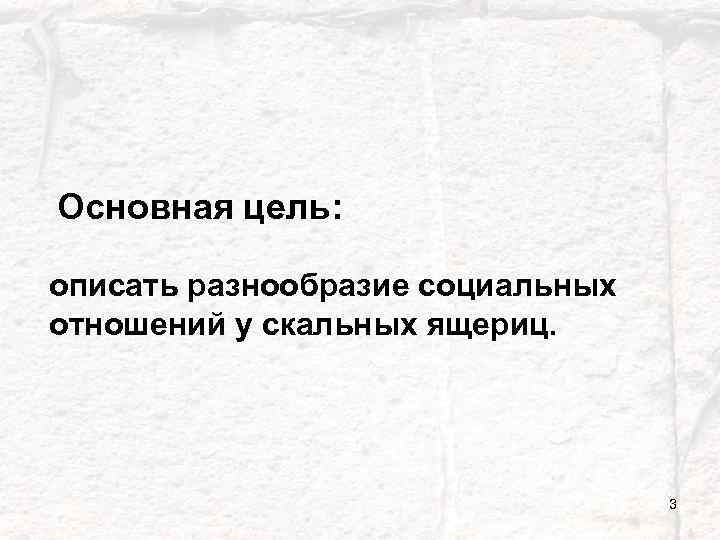 Основная цель: описать разнообразие социальных отношений у скальных ящериц. 3 