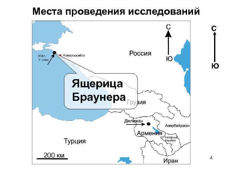 Места проведения исследований С Ю Ящерица Браунера 4 