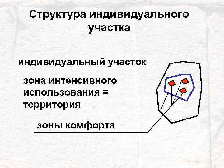 Структура индивидуального участка индивидуальный участок зона интенсивного использования = территория зоны комфорта 6 