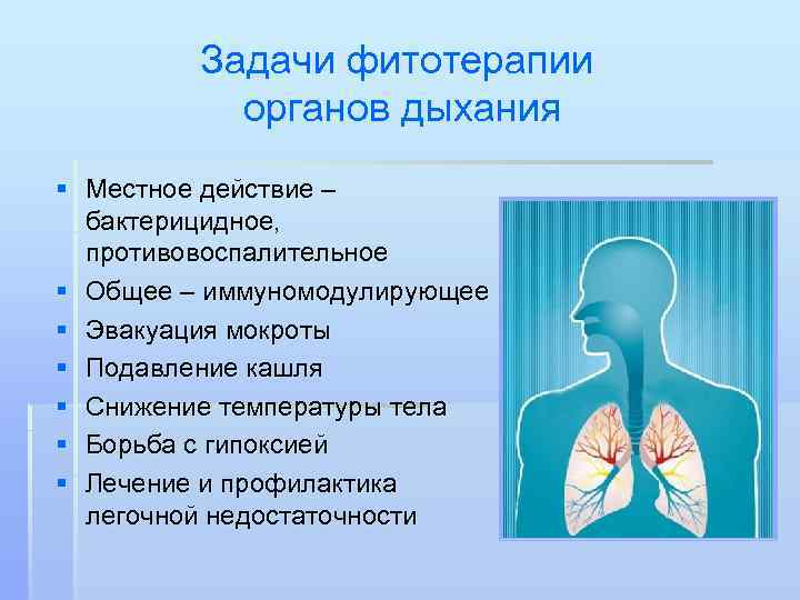 Причины болезней органов дыхания. Заболевания органов дыхания. При заболеваниях дыхательной системы. Органы дыхания. При заболеваниях органов дыхания.