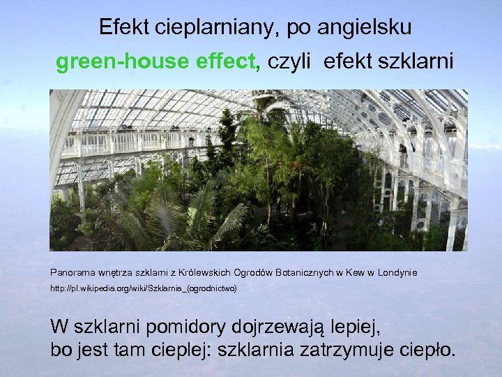 Efekt cieplarniany, po angielsku green-house effect, czyli efekt szklarni Panorama wnętrza szklarni z Królewskich