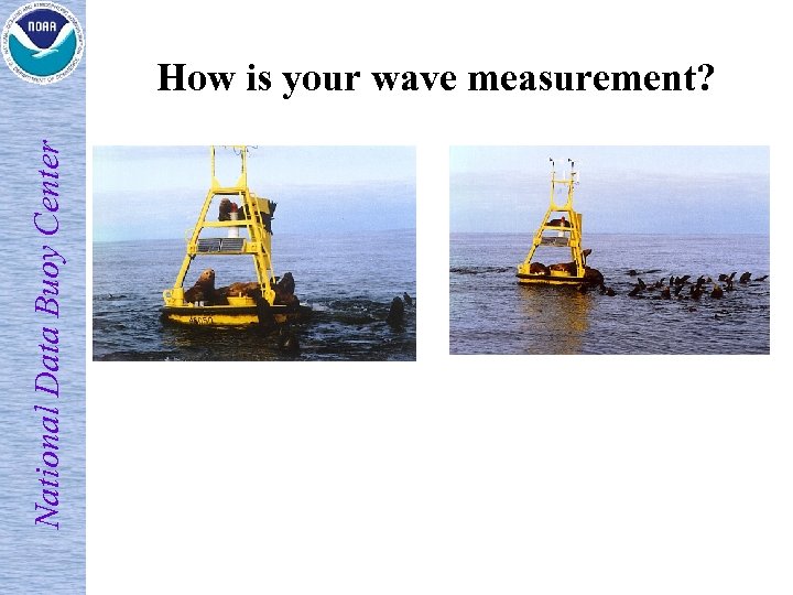 National Data Buoy Center How is your wave measurement? 